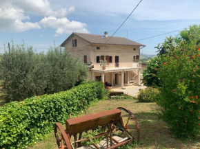 Gastronomic B&B CarloCarla